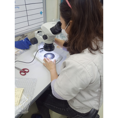 Kinh hien vi soi noi Olympus SZ61 kem den LED (hình 2).jpg